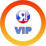 Оплата и Гарантия VIP