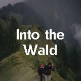 Into the Wald - Походы из Берлина 🥾
