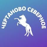 Чертаново • MSK