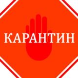 Карантин LIVE