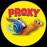 •Proxy & Config• 2️⃣