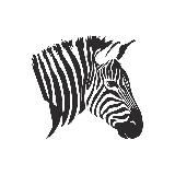 Жалюзи в Ташкенте — Zebra Жалюзи
