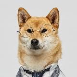 Собаковый и всяковый | Dogs and other animals
